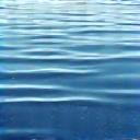 Agua tranquila con escarcha invernal.